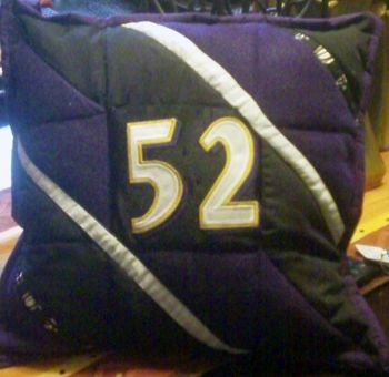 "Ray-Ray" throw pillow - $35
