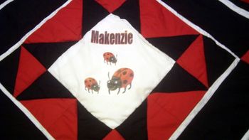 Makenzie's Ladybugs (close-up)
