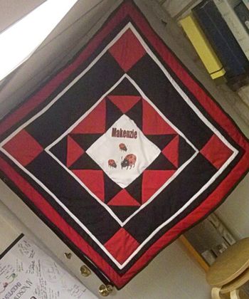 MMakenzie's Ladybugs" display quilt (4'x4') - $50
