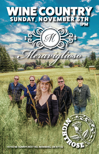 MERAVIGLIOSO Winery - electric acoustic