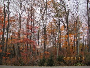 Middle TN in late Autumn
