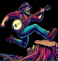 Jim Hurst performs at Wisconsin Bluegrass Bash Festival