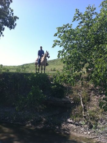 We have plenty of scenic training opportunities all over the ranch to expose our horses to all sorts of new challanges.
