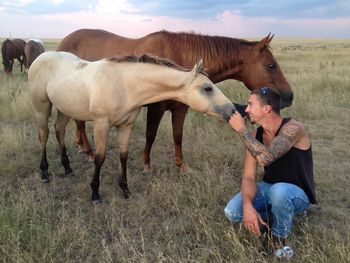 2014 Dunskin colt with his aunt, Harlans Leo Eyed both visiting with Cody.
