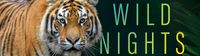 Minnesota Zoo Wild Nights