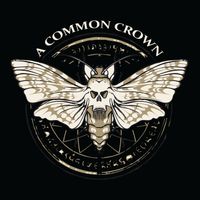 MESSAGE IN A BOTTLE by A Common Crown