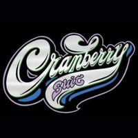 Into Loving You the EP by Cranberry Suit