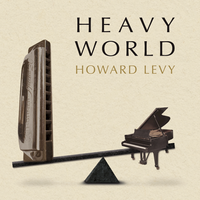 Heavy World by Howard Levy