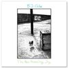 The New Hovering Dog - Vinyl