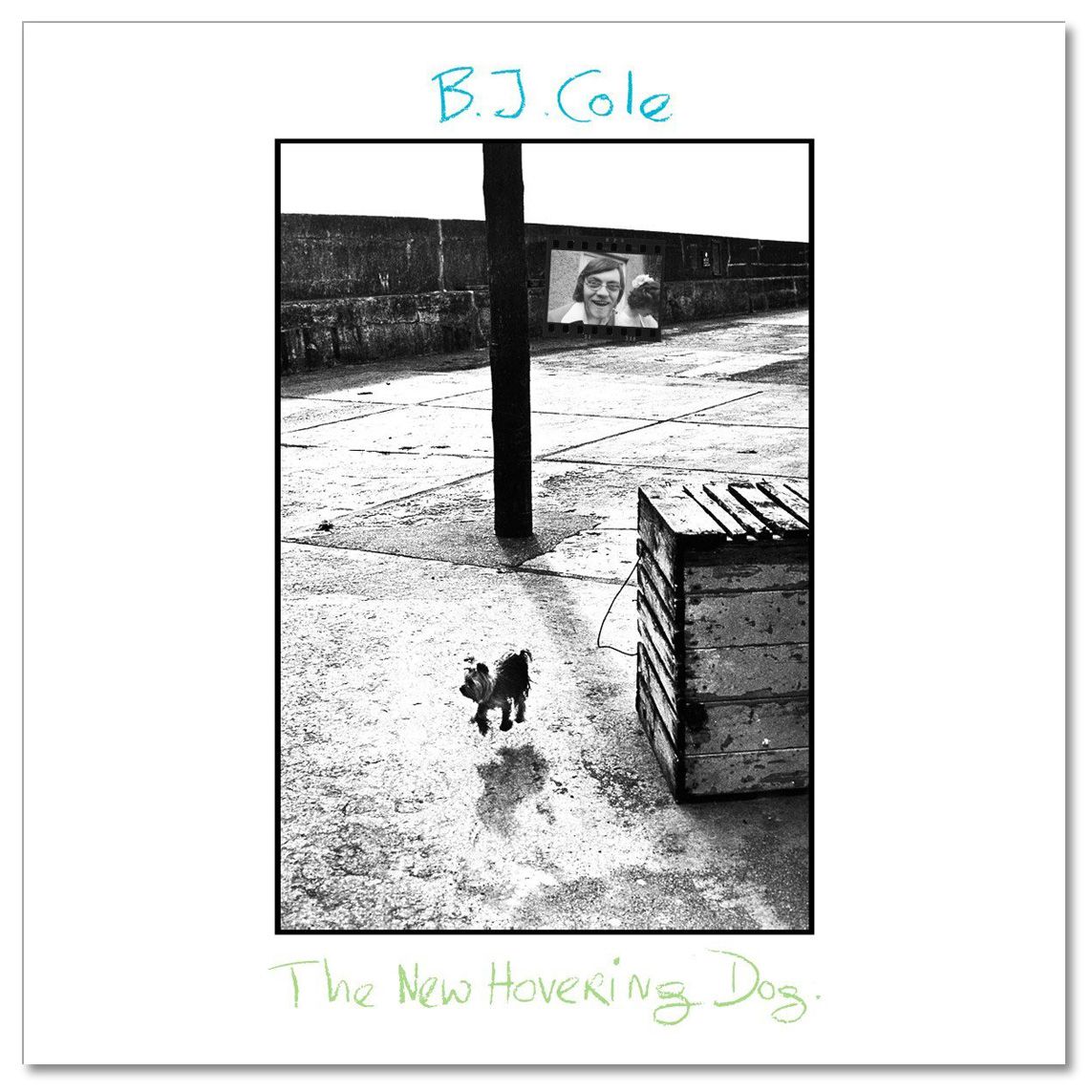The New Hovering Dog - Vinyl