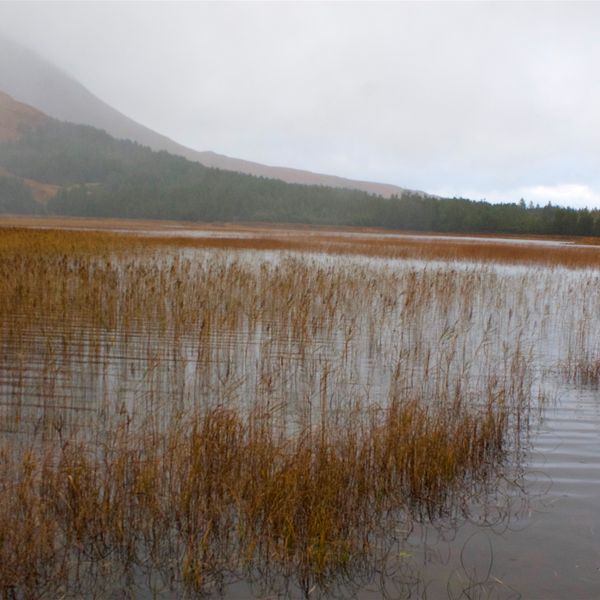 Misty Mire - Sheet Music - Available for Saxophone Ensemble or Wind Ensemble
