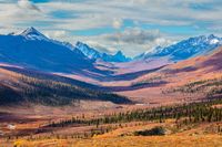 Yukon Women's Summer Solstice Retreat! 