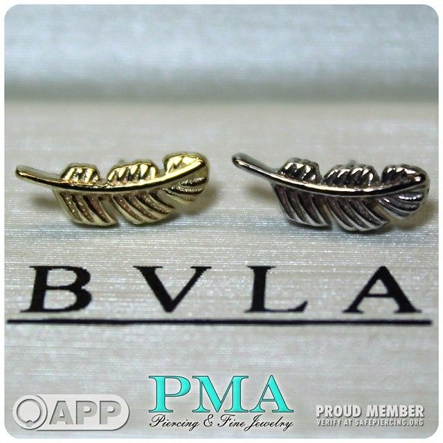 BVLA: Gold Feathers 