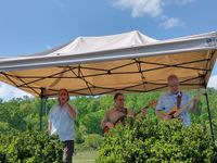 Wavelength trio @ Albemarle CiderWorks