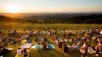 Wavelength @ Carter Mountain Sunset Concerts