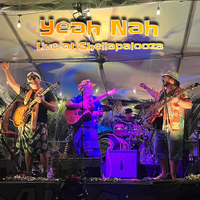 Yeah Nah (Live at Shellapalooza) by theSlacks