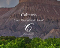 The Long Run • Colterris Wine Festivus 