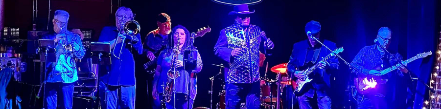 Retro Soul & the Westside Horns band photo