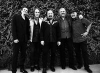 The Fabulous Thunderbirds
