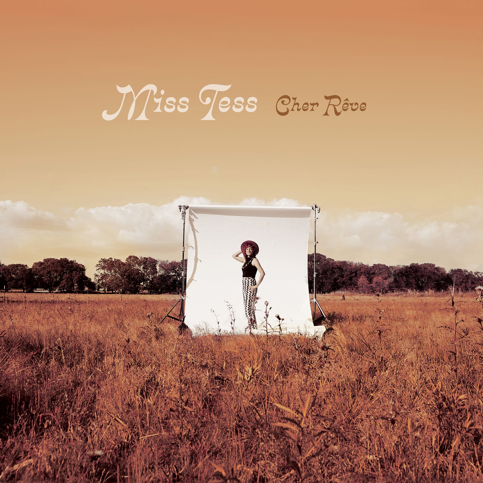 misstessmusic.com - Store