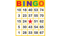 Musical Madness: Bingo Fundraiser