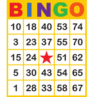 Bingo Add-on Packs
