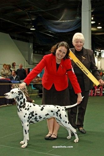 Medo and Hayley, winning another Age in Group award.
