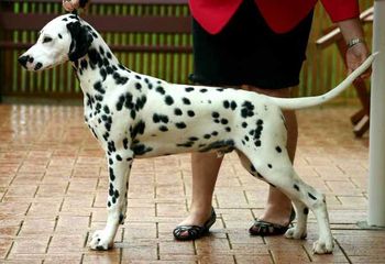 Aged 6mths

