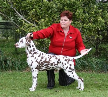 Cracka aged 9mths
