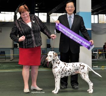 Coco, Best of Group (Grp 1), Jan 2010
