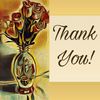 Thank You Card _ AnnorCards