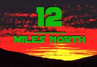 12 Miles North at Perfect Timing Bar and Grill Owens Crossroads, AL