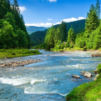 Lucky Creek by Chuck Roehm