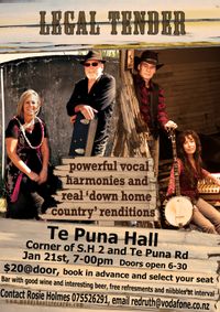 The Legal Tender Band in concert