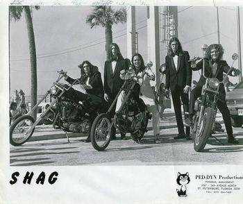 1970's band called "SHAG" from Sarasota Florida. I am the second one from the left. From left to right are Floyd Pasco (guitar), Scott Smith (Bass), Jim Broun (vocals), Ray Ludwig (guitar) and Billy Thomas (drums).  Jim went on to lead the Wolvin James Band and Billy Thomas plays drum and sings with the Time Jumpers on Nashville.
