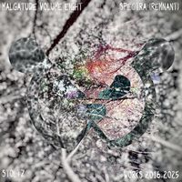 Malgatude Volume Eight: Spectra (Remnant) by Stoltz