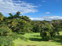 Authentic You Masterclass: Stage 1 - Byron Shire