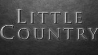 Little Country Performs at the TGOV Concert Series