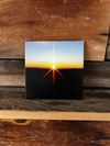 Celibates - CD
