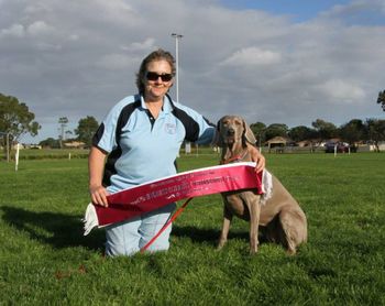 Highest Scoring Weimaraner In Novice - AM & PM
