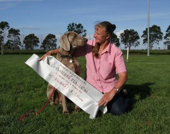 Highest Scoring Weimaraner In Rally-O Trial
