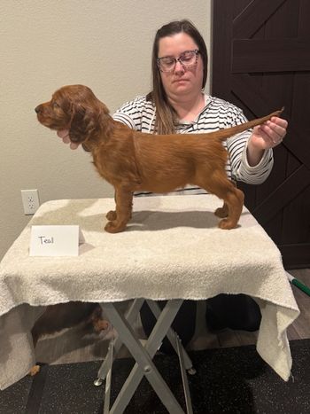 Teal boy at 6 weeks old.
