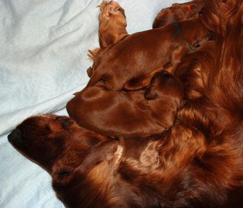 "Spooning".

