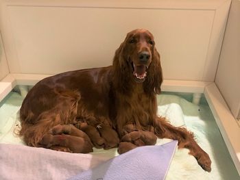 Day 1 - we have 3 girls & 5 boys.
