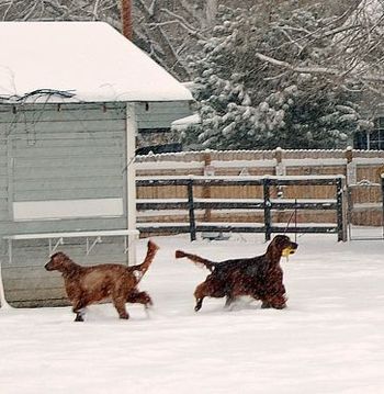 Bagger with his mother, Tori running in the new powder. 12/13/09
