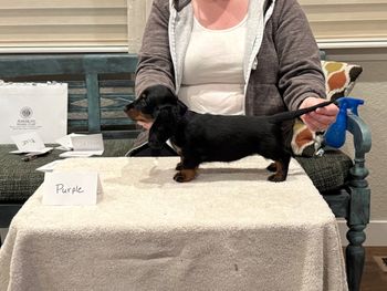 Purple girl at 8 weeks.
