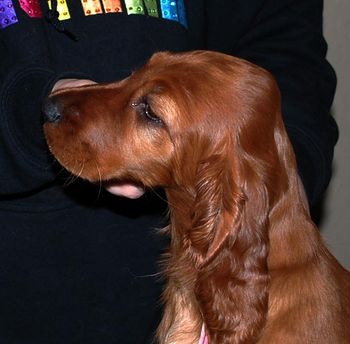 9 wks Pink girl
