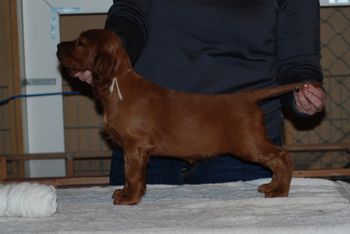 White girl at 6 weeks.
