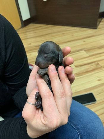 So cute!
