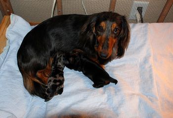 10 days old.
